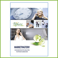* Marketingterv